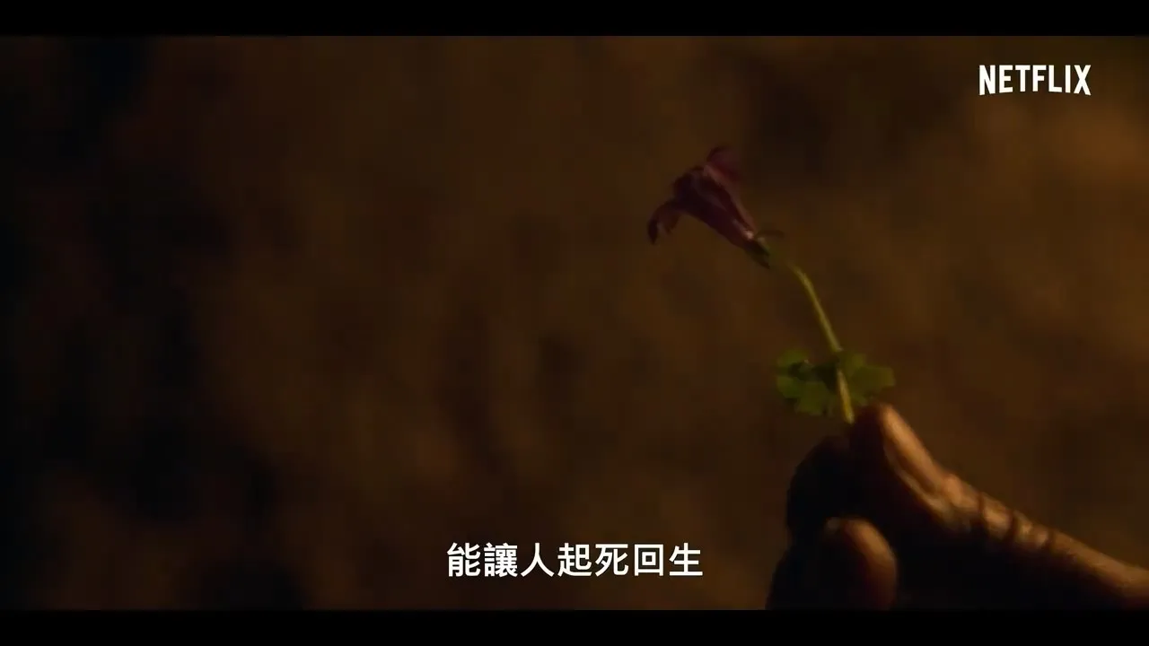 沐鸣2娱乐 官方形象图